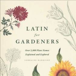 LATIN for GARDENERS 植物圖片參考素材