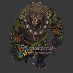 熊王 野熊 擬人熊 Max模型 含全套動作