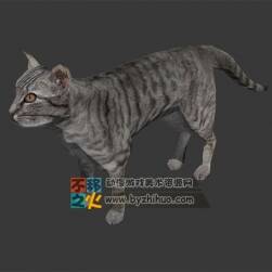 一只虎紋貓咪模型