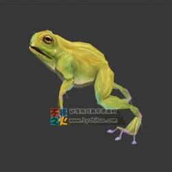 跳躍的青蛙 Max模型