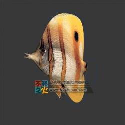 一條熱帶魚(yú) Max模型