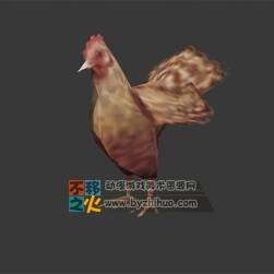 簡化版小雞Max模型