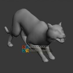 動物動作之美洲獅 Max模型  不含貼圖