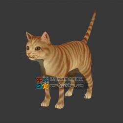 Cat 貓 Max模型