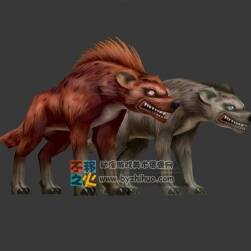 激進的野狗 Max模型