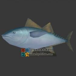 水族生物 魚(yú) Max模型