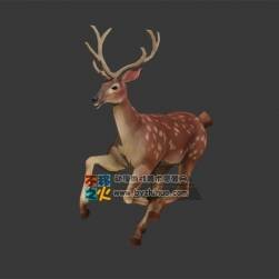 梅花鹿 MAX模型
