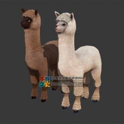Alpaca 可愛的兩只羊駝 Max模型