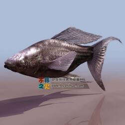 Fish 海魚(yú)3DS模型