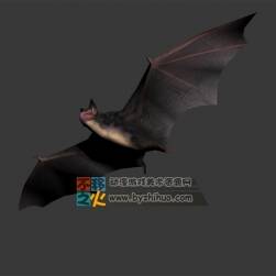 Bat 蝙蝠 Max模型