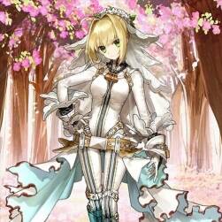 英靈 角色原畫+卡牌+同人壁紙 1021P