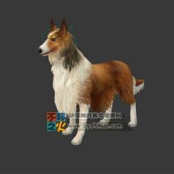 蘇格蘭牧羊犬模型