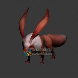 長耳狐貍 Max模型