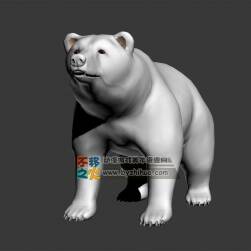 The bear 熊Max 模型
