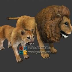 動物園之雄獅和母獅 Max模型 四邊面