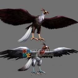 兩只飛禽 Max模型