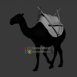 camel 駱駝 MAX模型 含全套動(dòng)作