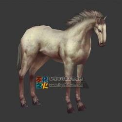 白馬  MAX模型