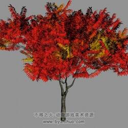 紅葉樹(shù) 3D模型