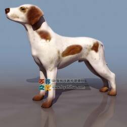 Dog 白色斑點狗 3DS模型
