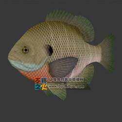 水族之淡水魚2  3DS模型