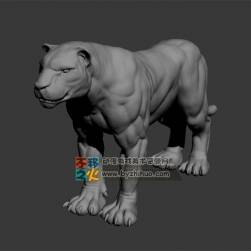 超寫實(shí)母獅子 OBJ模型 不含貼圖