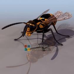 Wasp 黃蜂 3DS模型