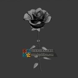 鮮花綻放白模模型