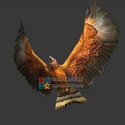 動物動作之展翅飛鷹 Max模型