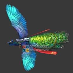 孔雀坐騎模型 max帶綁定