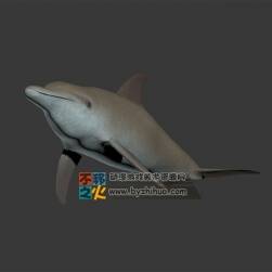 dolphin 海豚 3DS模型