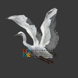 Egret 白鷺 Max模型