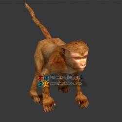 小猴子 Max模型