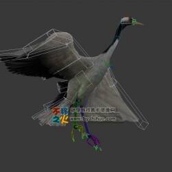 丹頂鶴 Max模型 含全套動(dòng)作