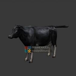 黑牛 Max模型