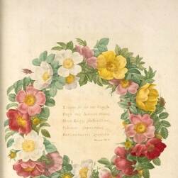 皮埃爾·約瑟夫·雷杜德 植物圖譜 10冊合集 Pierre Joseph Redoute