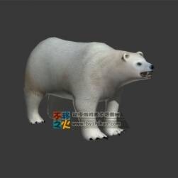 北極熊 Max模型