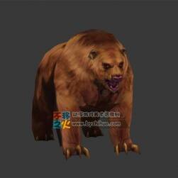 棕熊 Max模型  三邊面