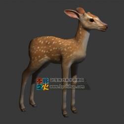 動物園之梅花鹿幼崽 Max模型 四邊面