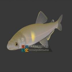 水族之淡水魚 3DS模型