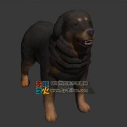 中華田園犬 小土狗 Max模型