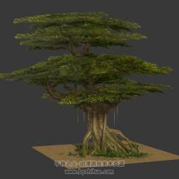 參天大樹(shù)3D模型