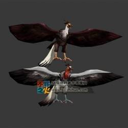 兩只飛禽 Max模型 三邊面