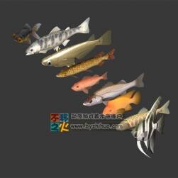 一波魚 Max模型