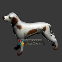 Dog 狗Max模型