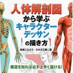 人體解剖圖鑒 漫畫角色身體結(jié)構(gòu)繪制教程