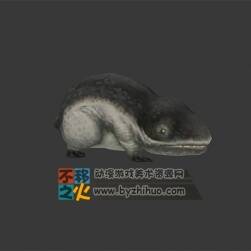 爬行類 兩棲類 怪物 模型