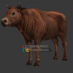 家畜黃牛 Max模型