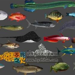 22種海洋魚類 fbx模型 帶動(dòng)作