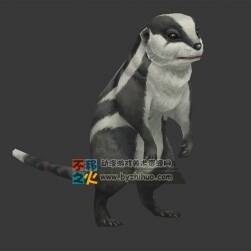 鼠類(lèi)生物 Max模型 四邊面